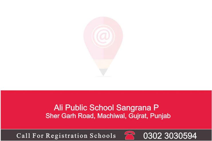 Ali-Public-School-Sangrana_2_11zon