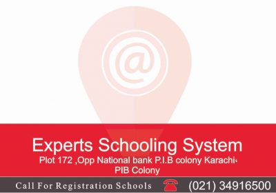 Experts Schooling System