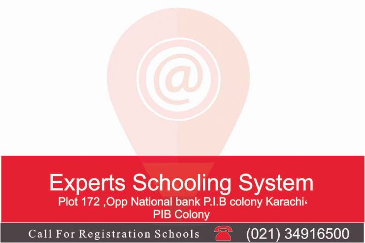 Experts Schooling System