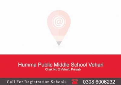 Humma Public Middle School Vehari