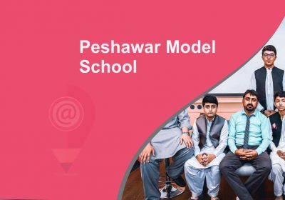 Peshawar Model School