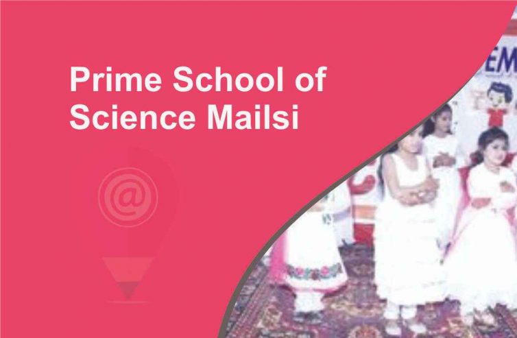 Prime School of Science Mailsi