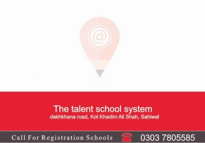 The talent school system