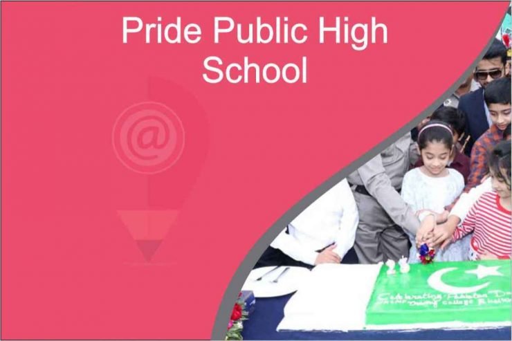 Pride Public High School