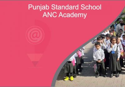 Punjab Standard School