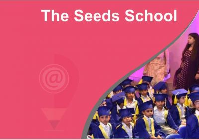 The seeds school