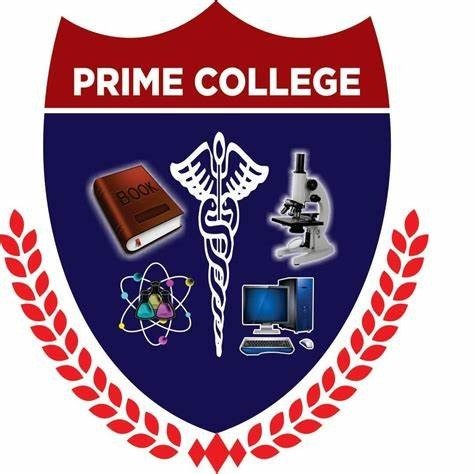 PRIME SCHOOL OF SCIENCE Mailsi