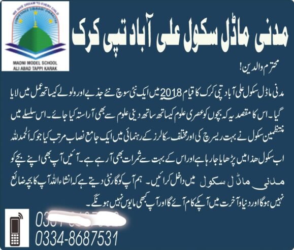 MADNI MODEL SCHOOL