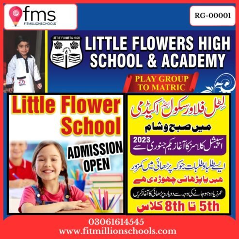 RG-00001 LITTLE FLOWER SCHOOL & ACADEMY