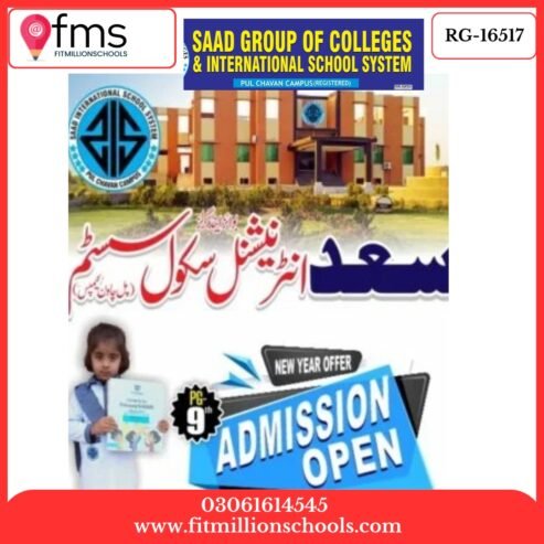 RG-16517 SAAD INTERNATIONAL SCHOOL SYSTEM