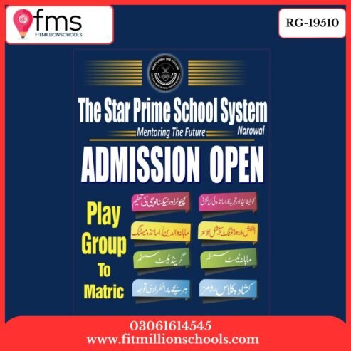 RG-19510 THE STAR PRIME SCHOOL SYSTEM